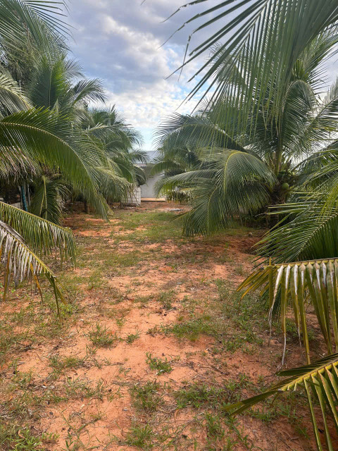 Bán đất 1000m² 4.6 tỷ tại Xã Thiện Nghiệp Thành phố Phan Thiết. LH: 0974090487