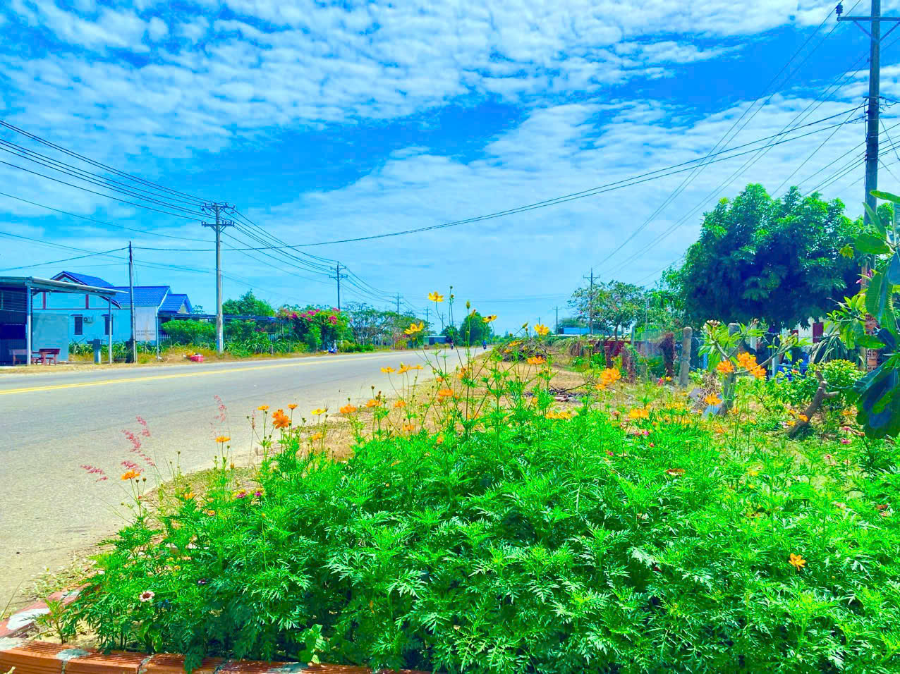 Bán 5,5 xào quy hoạch full thổ cư. Mặt tiền 80m dễ phân lô. lH: 097090487
