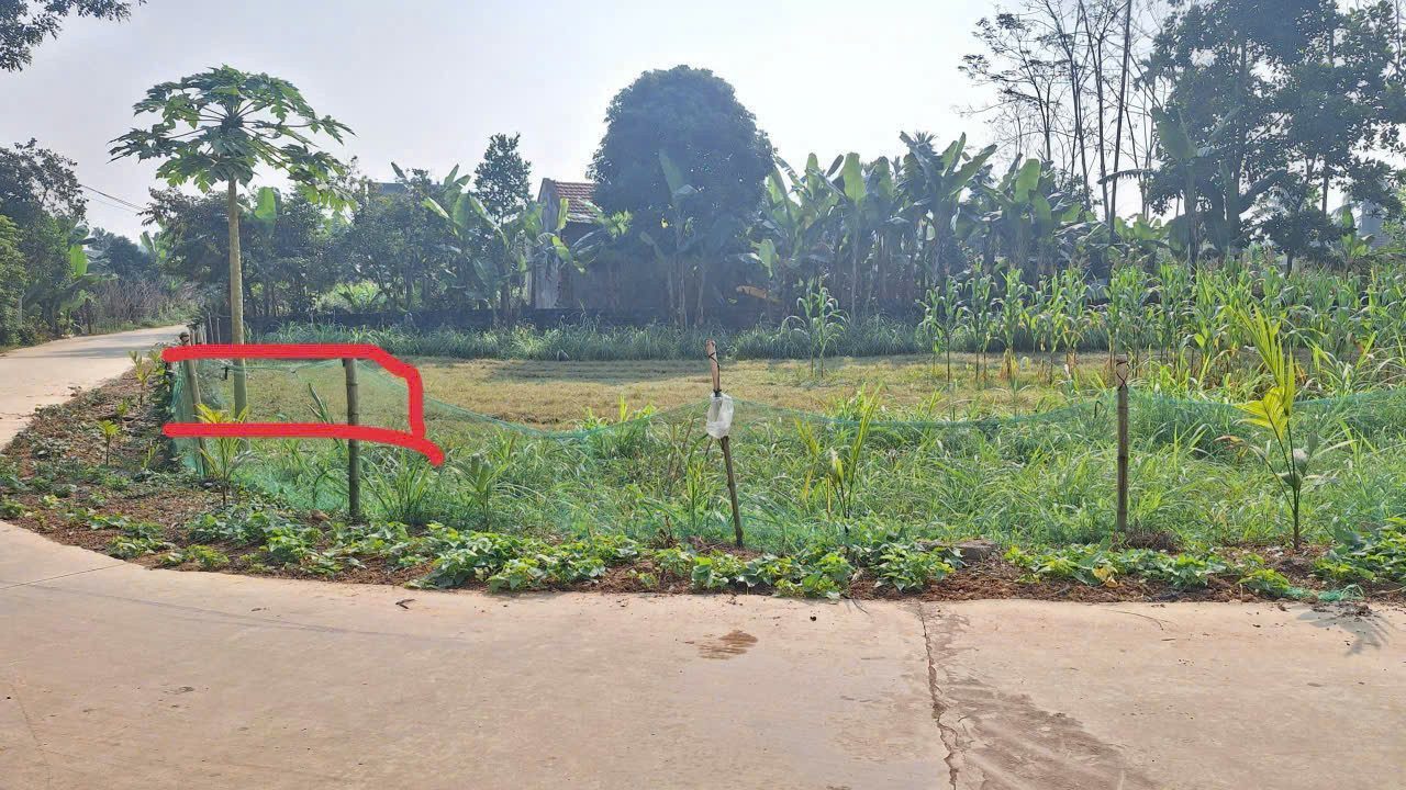 1 lô Thọ Bình Đẹp Và Siêu Rẻ ạ 112m sẵn sổ