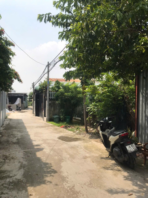 Đất full thổ, 120m2 xã Thới Tam Thôn, Hóc Môn. SHR bao sang tên, giá 3 tỷ 2