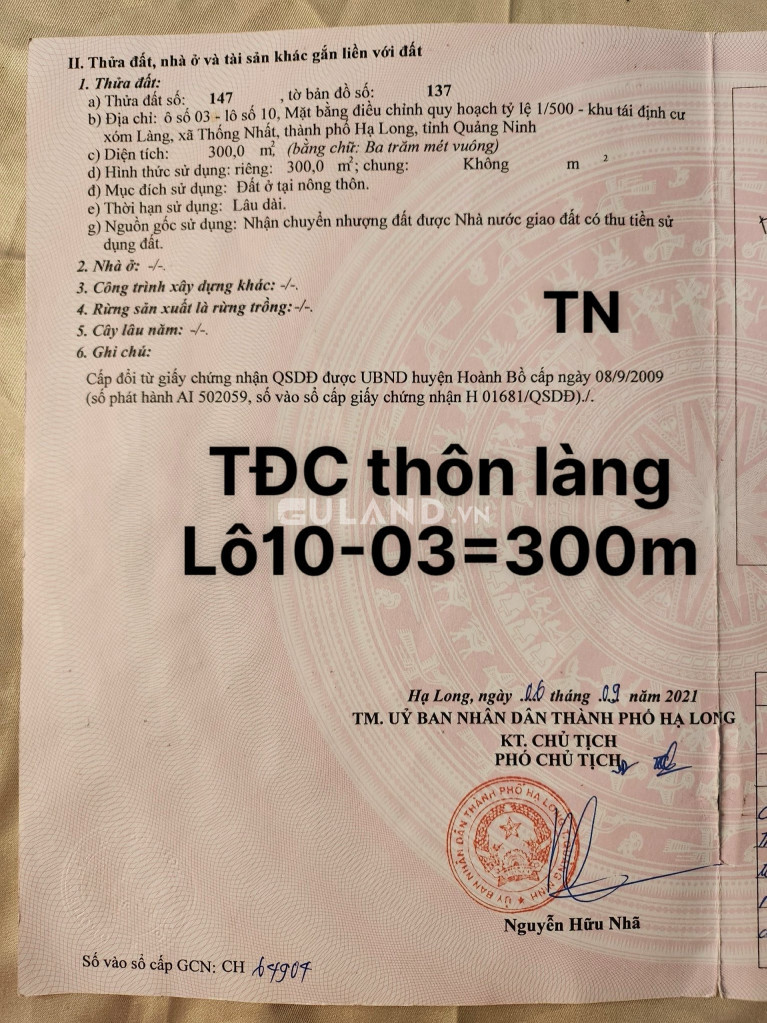 ĐẤT BIỆT THỰ TĐC THÔN LÀNG - THỐNG NHẤT
