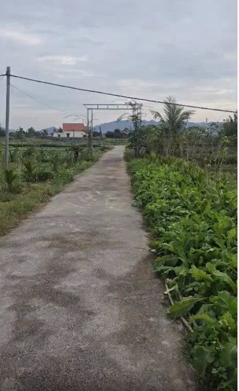 BÁN 4502M2 ĐẤT THỐNG NHẤT,HOÀNH BỒ,HẠ LONG