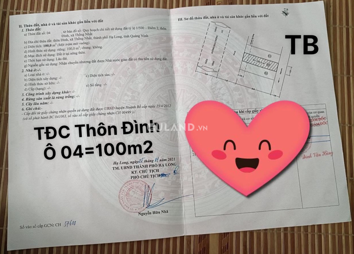 Đất TĐC Thôn Đình