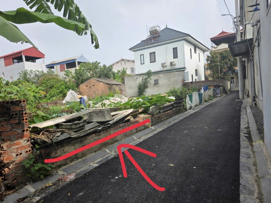 Bán đất Đường Yên Xuân Nộn xã Thư Lâm 45,4m2 đường nhựa thông đẹp