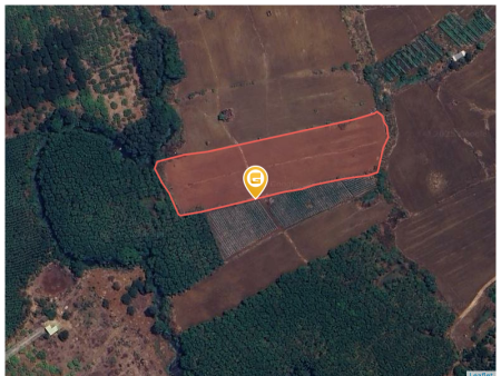 Bán đất 7.000m² tại Xã Thừa Đức Huyện Cẩm Mỹ