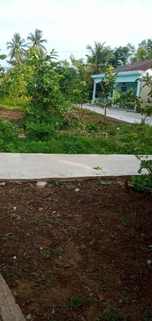 Bán đất hẻm đan  115m² ngang 5m giá 195 triệu Xã Thuận Hòa ( Phú Tân Cũ)