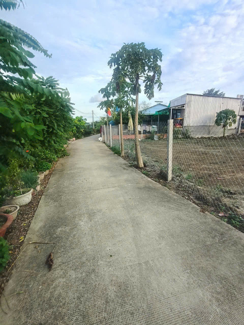 1899m2 đất thổ (918m2) + lúa , đường đan xã Thuận Thành, Cần Giuộc, Long An giá 7,5 tỷ