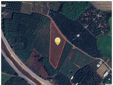 Bán đất 7575m² 20 tỷ tại Xã Thường Tân Huyện Bắc Tân Uyên