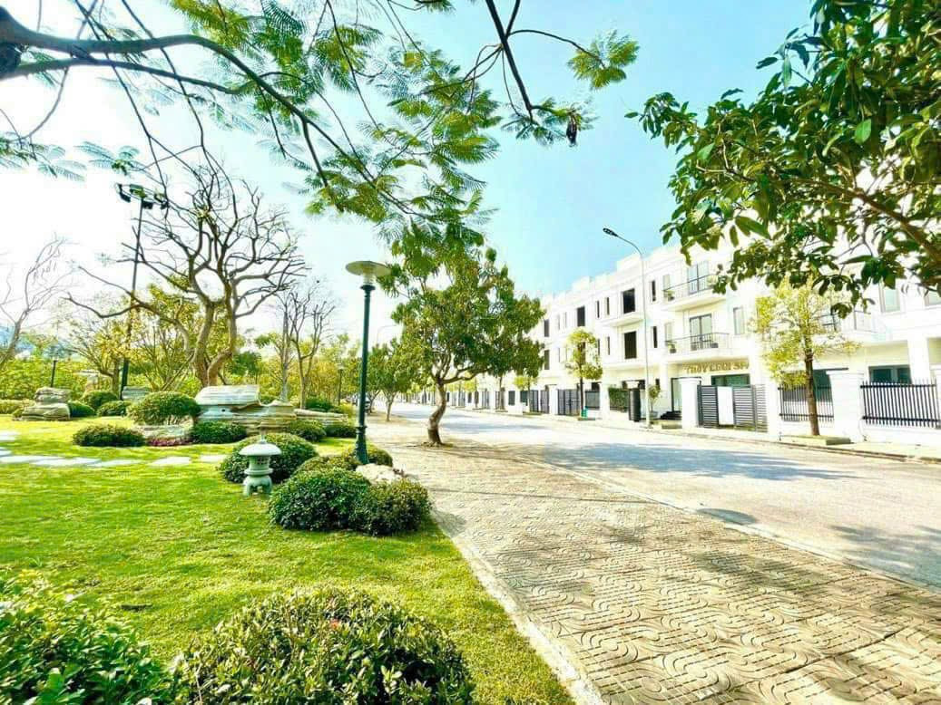 Bán nhanh lô 30LK05 Khu đô thị tân quang minh Dt 75m ngang 5 giá chỉ 2tỷ 9xx Lh ngay 0382341632 em Liên chuyên viên tư vấn