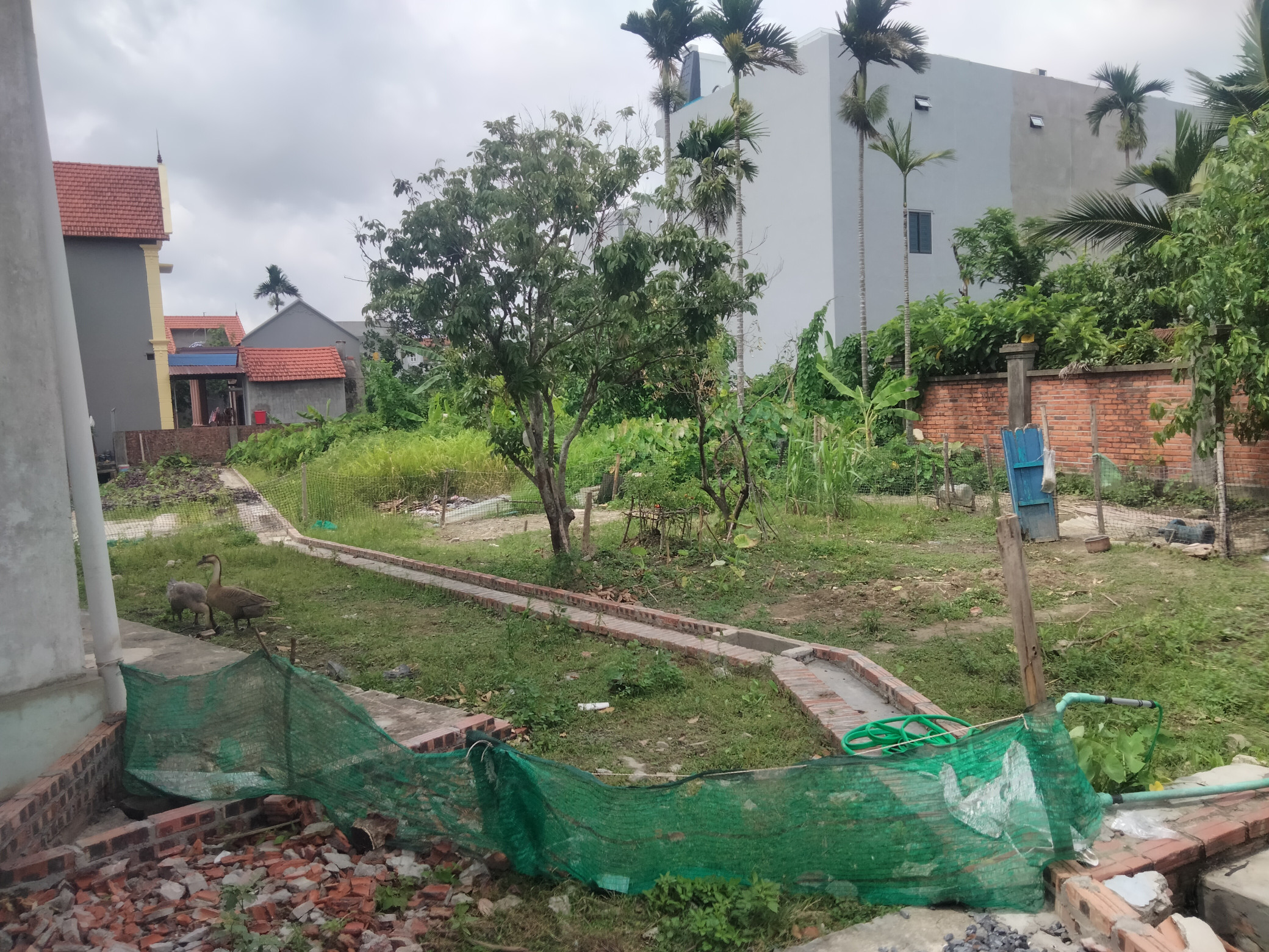 Chính chủ gửi bán 5 lô liền kề sẵn bìa tại thủy sơn Thủy Nguyên dt từ 74m giá chỉ 1tỷ 9xx lh ngay 0382341632 em Liên