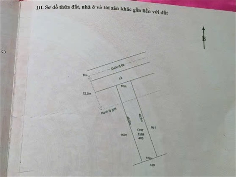ĐẤT CHÍNH CHỦ - MẶT TIỀN - Ấp 1 Xã Thuỷ Tây, Huyện Thạnh Hoá, Tỉnh Long An