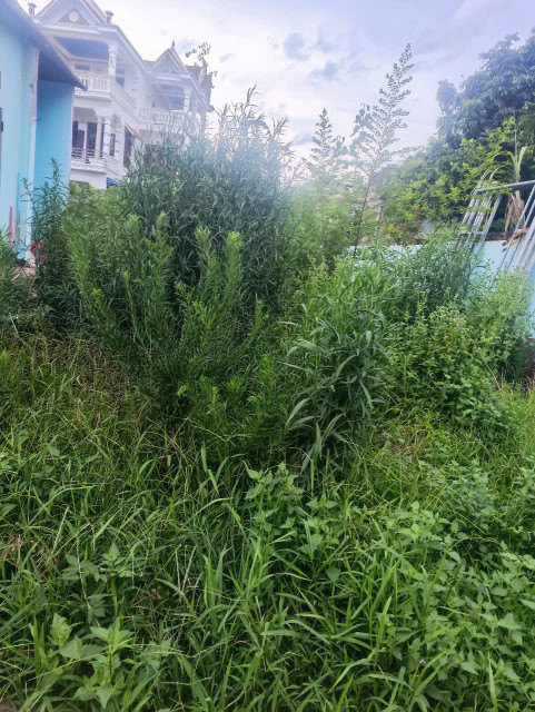 2ty8 cần bán lô đất vị trí đẹp cạnh KCN Đồng Văn 3 – Duy Tiên – Hà Nam