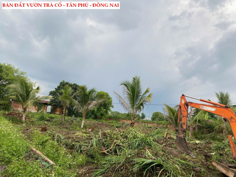 Bán đất Trà Cổ Tân Phú giá rẻ