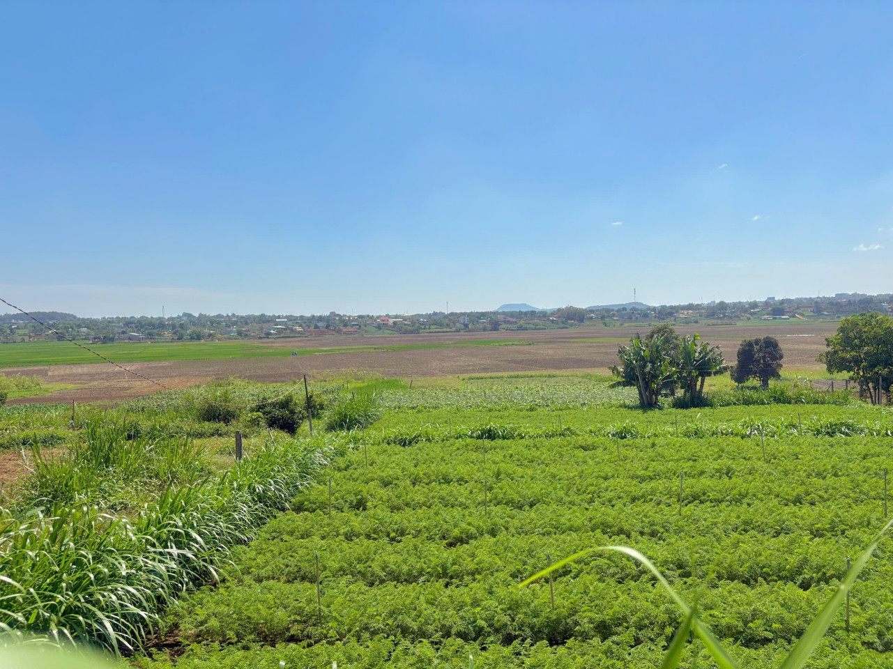 💥 Đất hẻm Lý Thường Kiệt view ruộng mát lành