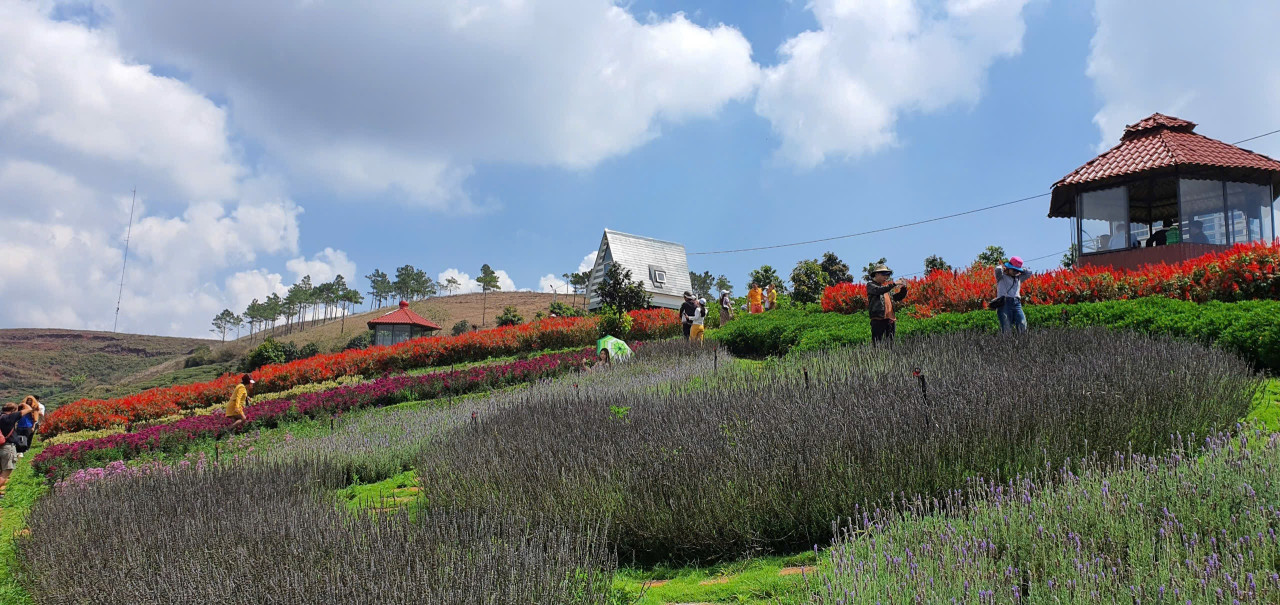 Bán Homestay 2140m view cực đẹp Đà Lạt