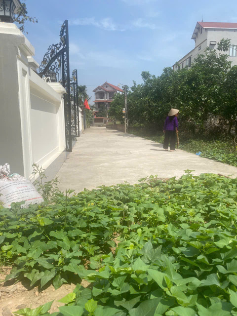 Mình cần bán nhanh đất Tráng Việt, Mê Linh, HN - Chính chủ mình luôn