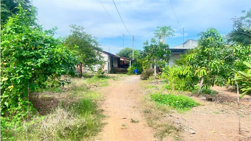 bán đất tặng nhà cấp 4, thổ cư toàn bộ, đất 2MT đầu đuôi. phân được nhiều lô.