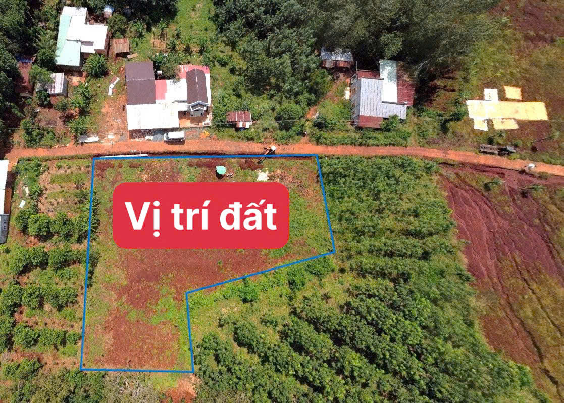 BÁN 2 SỔ ĐẤT NGÓ QUA SÂN BAY GẦN KHU DU LỊCH TRUNG TÂM DÂN ĐÔNG 239 TRIỆU