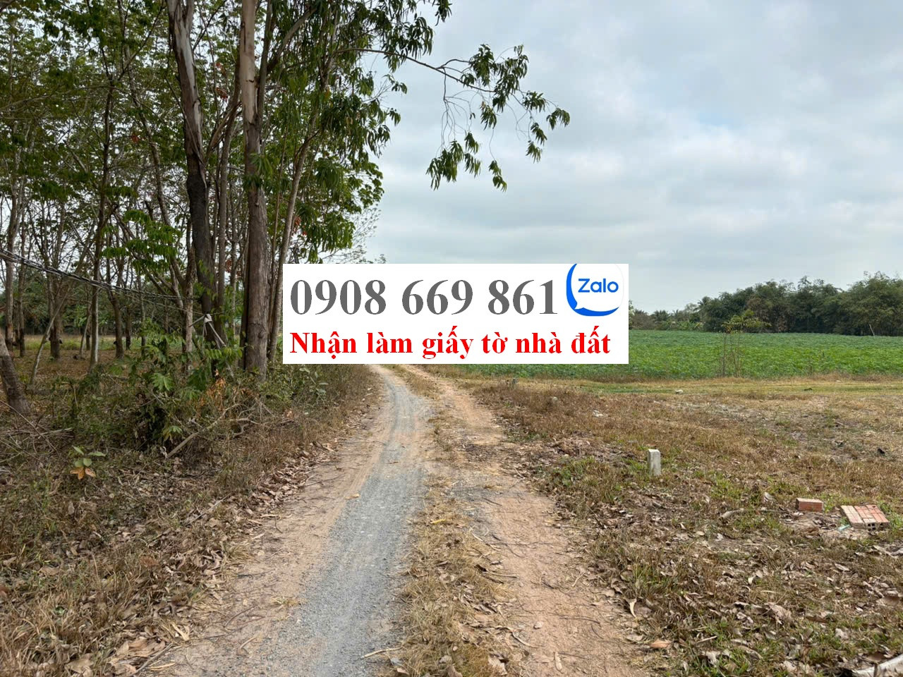 bán đất . DT 190 m2 . xã trí bình . châu thành