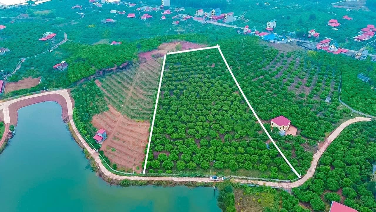Bán đất VIEW HỒ BÀU LẦY Trù Hựu Huyện Lục Ngạn