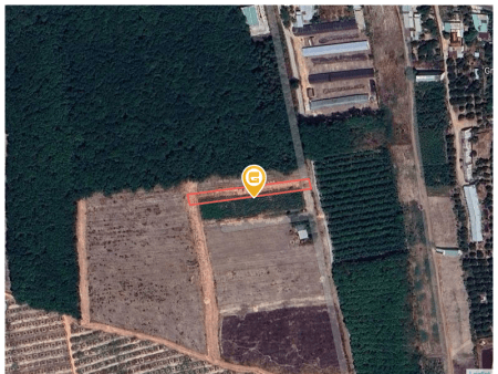 Bán đất 1160.5m² tại Xã Trừ Văn Thố Huyện Bàu Bàng
