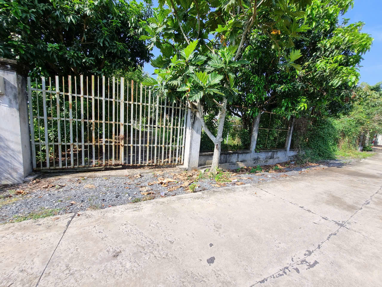 (B442) Đất 1/ đường Trung An, xã Trung An,  dt 1.229m2, thổ cư 1.165m2, giá 8 tỷ 500
