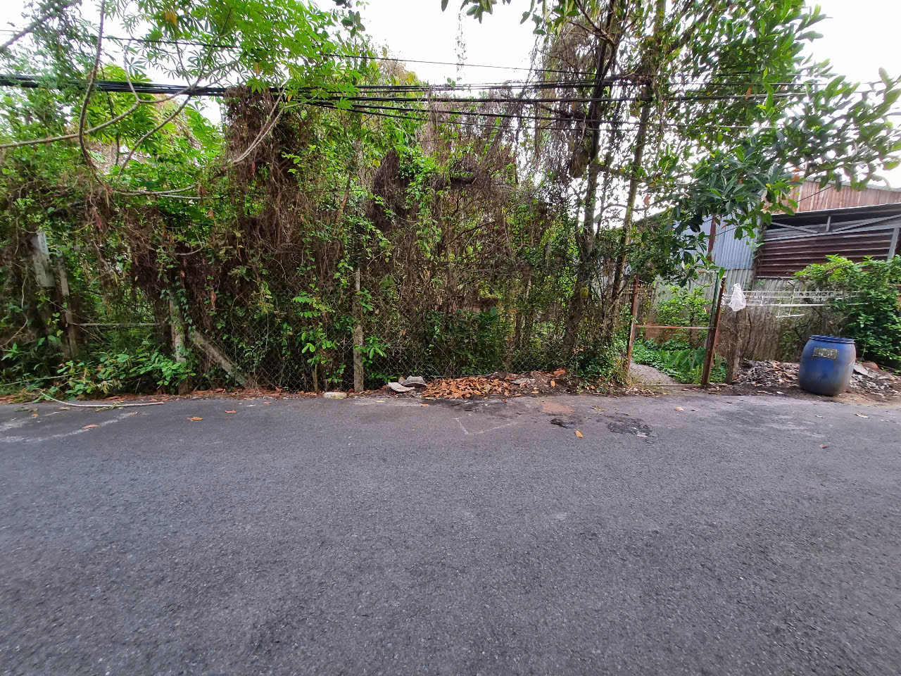 (L609) Đất Đỗ Thị Nhặt, xã Trung An, dt 292m2, full thổ, giá 3 tỷ 150