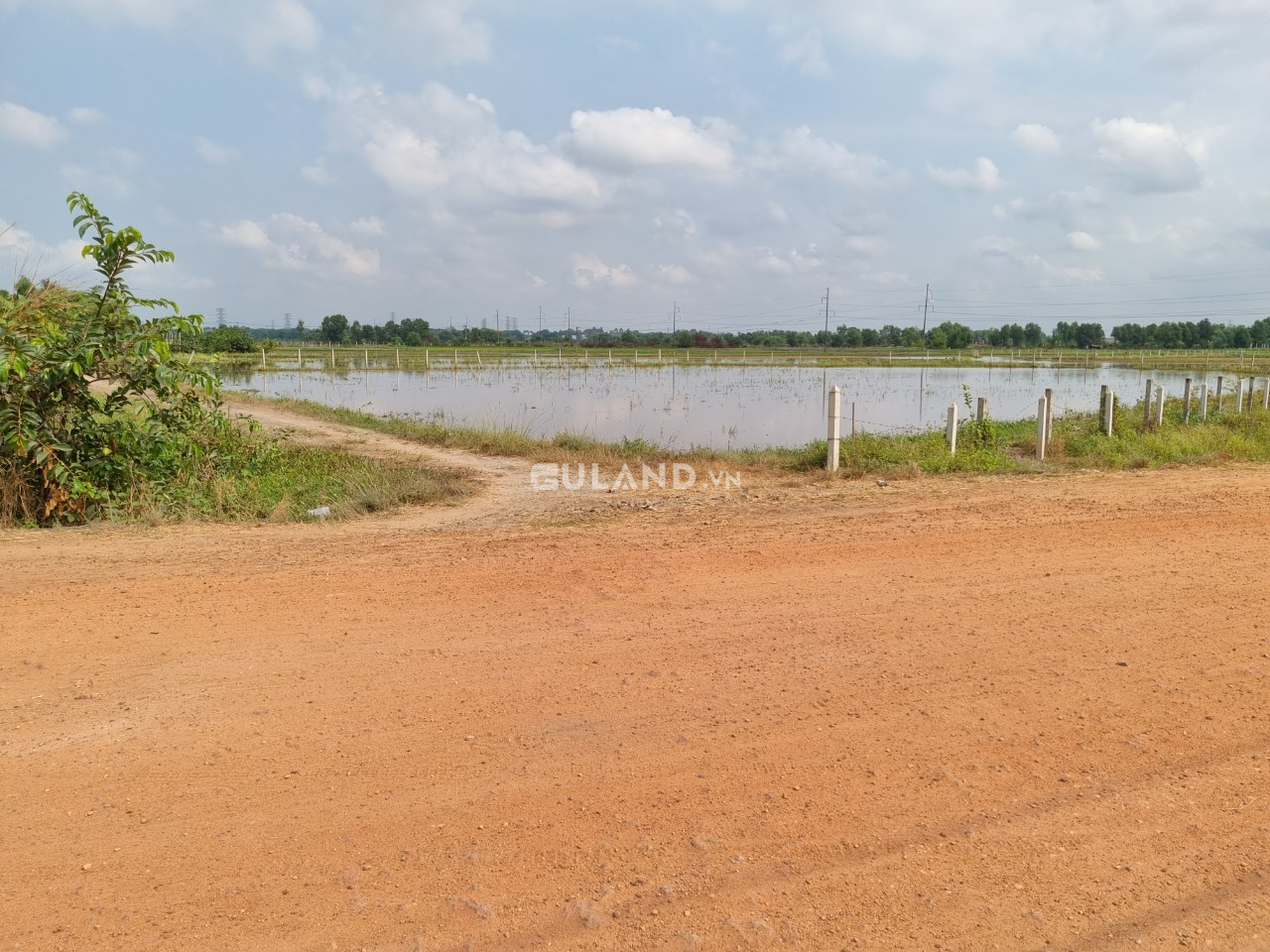 (B191) Đất nông nghiệp sát đường Nguyễn Thị My, xã Trung An, dt 5156m2, chỉ 8 tỷ