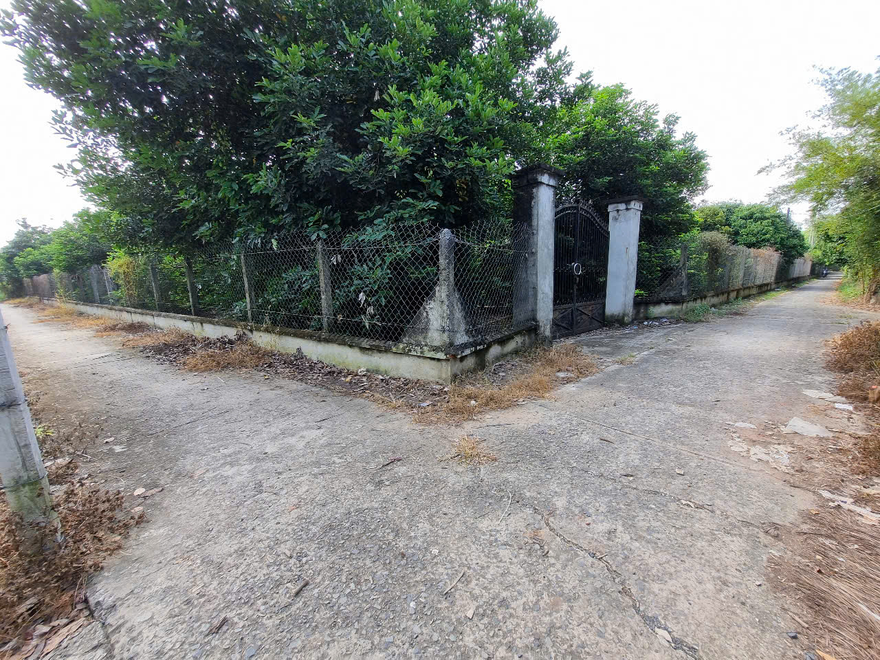 (B418) Đất gần sông Sài Gòn , xã Trung An, dt 2.989m2, thổ cư 2.935m2, giá chỉ 4,8tr/m2