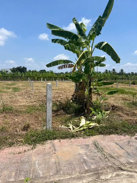 Đất thổ cư hẻm xe hơi 7 chỗ cách Đoàn Thị Nghiệp chỉ 80m Trung An Tp Mỹ Tho