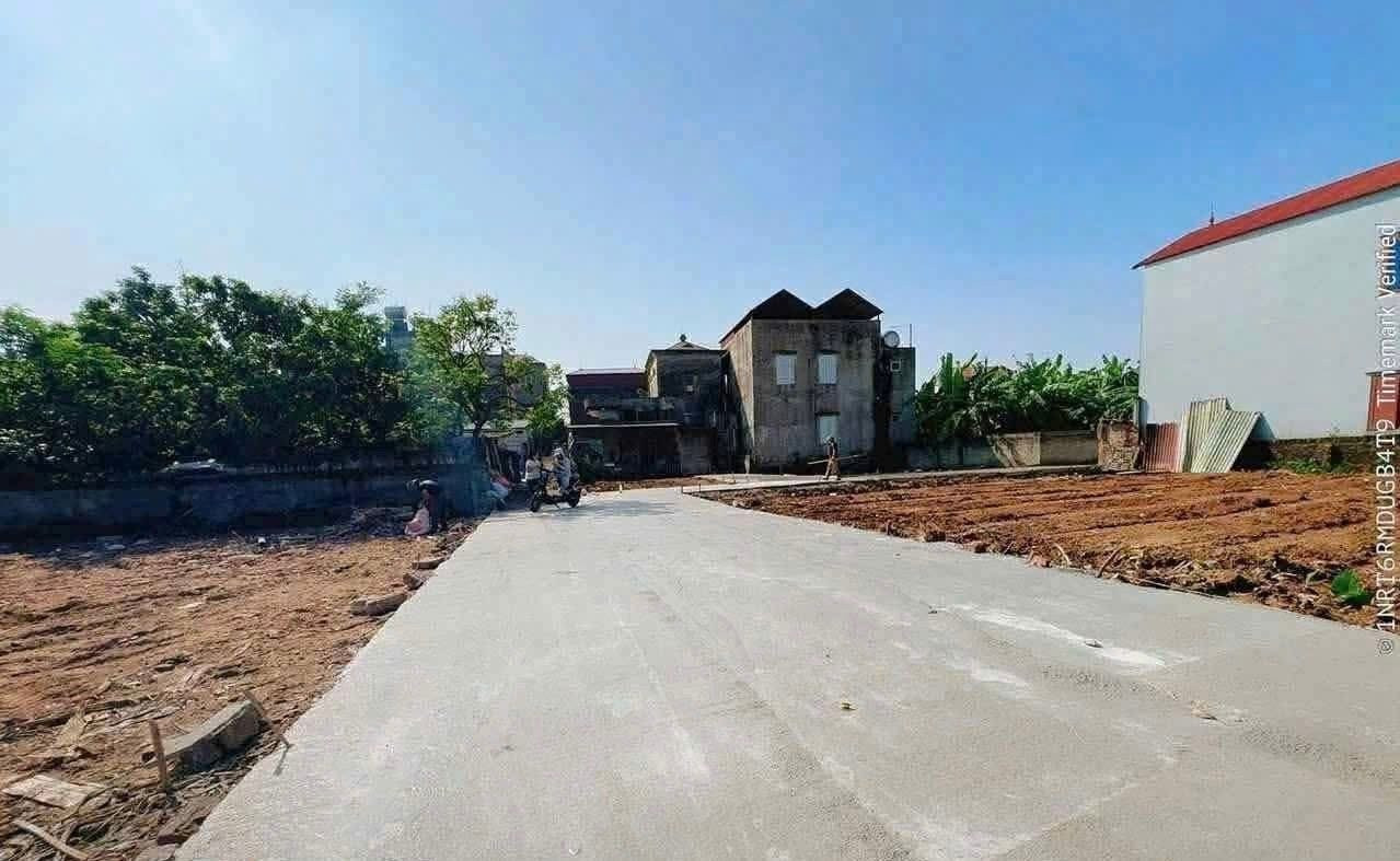 BÁN ĐẤT CHÍNH CHỦ – GIÁ TỐT
📍 Vị trí :  Nhất Trai -  Trung chính  -  Lương Tài ( cũ )  Bắc Ninh 

📐 Diện tích:  118m² 
            Mt  : 5m
🧾 Đã Sẵn  Sổ Hồng  Chỉ việc  sang  tên Đổi Chủ
🚗 Đường: Xe hơi vào tận nơi Đường  thông hai đầu Ngay  Trục Ch