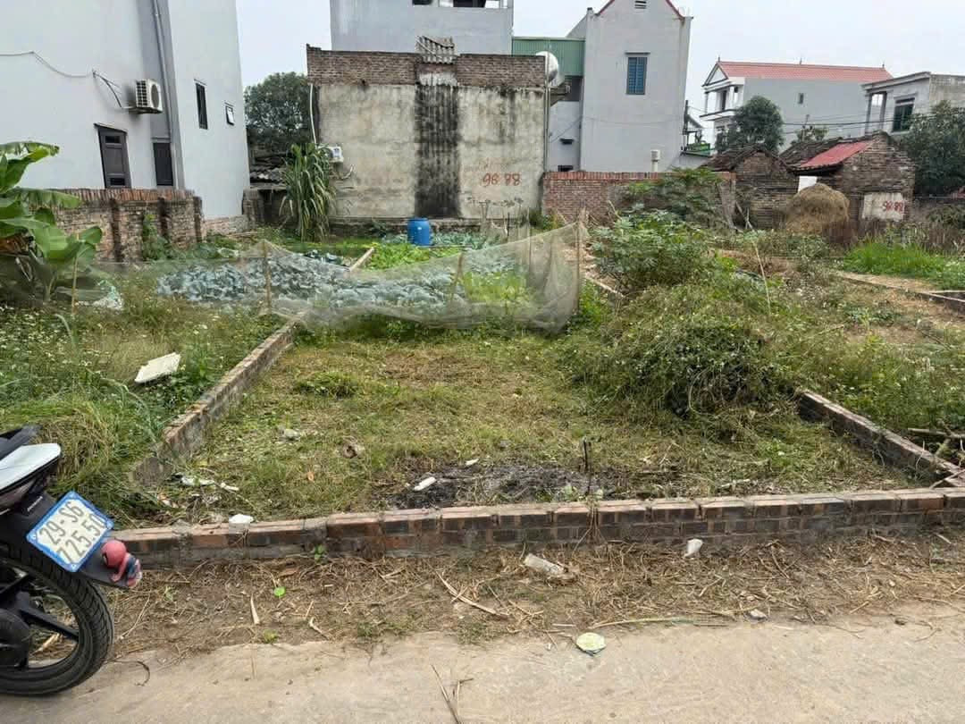 Bán đất 61,6m² ngang 4m giá 2.3 tỷ Xã Trung Giã