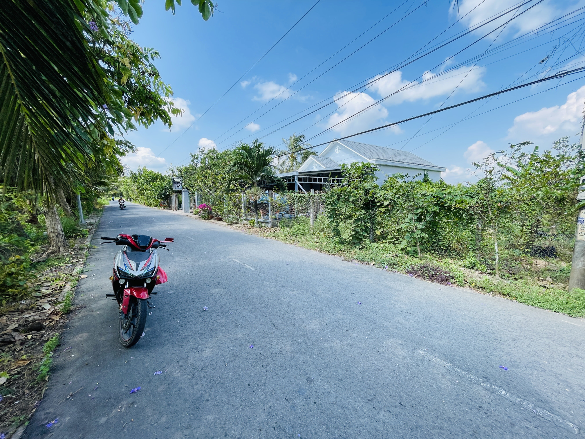 Bán đất 274.2m² 1.3 tỷ tại Xã Trung Hiếu Huyện  Vũng Liêm