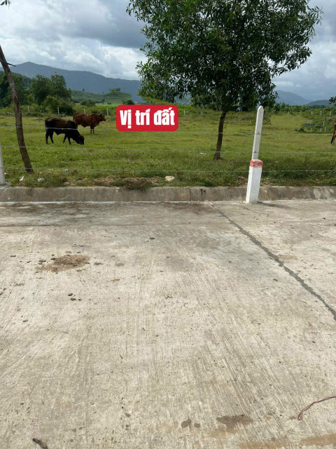 Bán đất full thổ cư 800m² ngang 10m giá 1.25 tỷ Xã Trung Khánh Vĩnh, Khánh Hòa