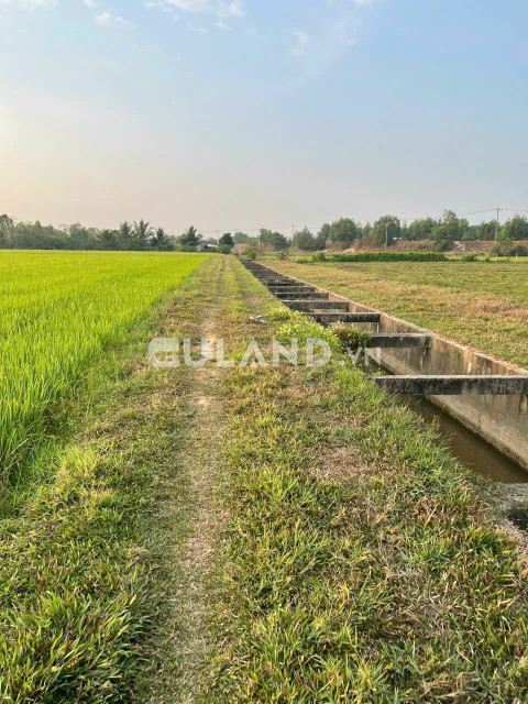 (L424) Đất Lúa 2 mặt tiền Kênh, xã Trung Lập Hạ, dt 2653m2, chỉ 2 tỷ 500.