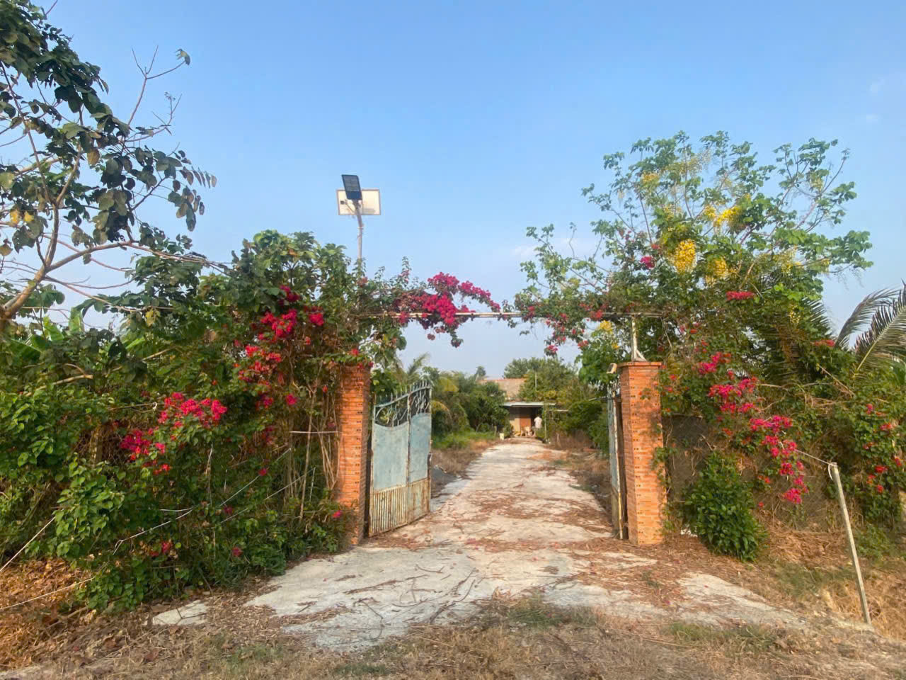 (L673) Đất (có nhà) 1/ ngắn Kênh Đông, xã Trung Lập Thượng, dt 1.022m2, đất ở khsx, giá 2 tỷ 500 TL