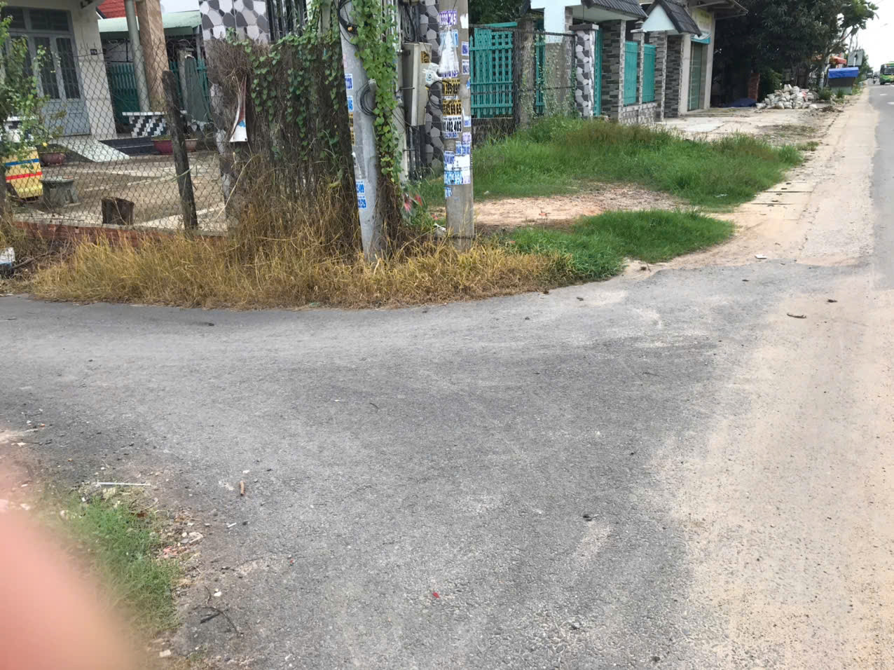 đất cây lâu năm