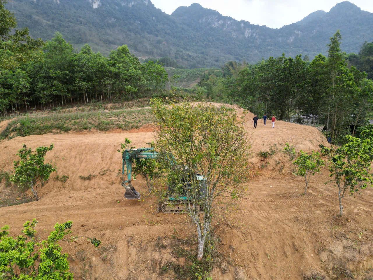 Hình 3