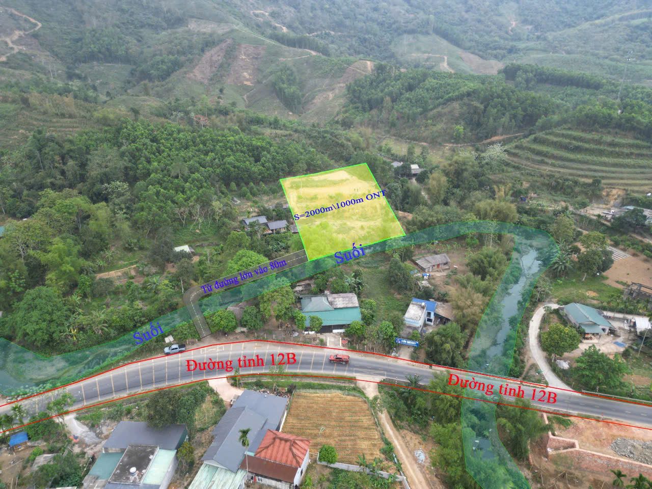 Hình 5