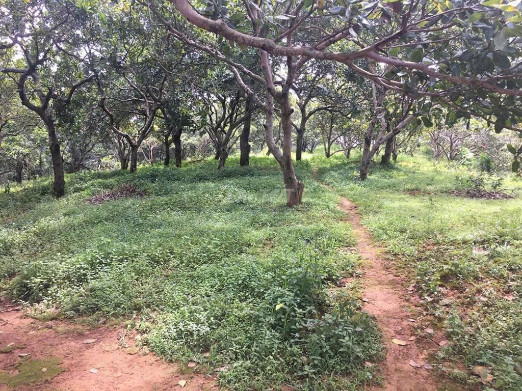 Cần bán 4400m2 đất tại mặt tiền quốc lộ 20, Túc Trưng, Huyện Định Quán, Đồng Nai
