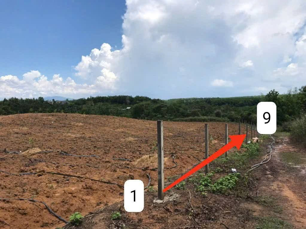 Bán đất 1311.7m² 490 triệu tại Xã Túc Trưng Huyện Định Quán