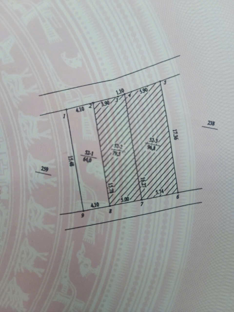 CHỈ CÒN 2 LÔ HOA HẬU DUY NHẤT NGAY ĐẠI LỘ THĂNG LONG-HOÀI ĐỨC