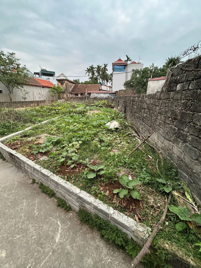 BÁN ĐẤT