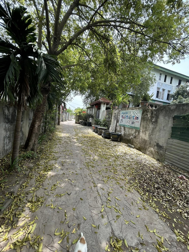 Bán đất 83,8m² ngang 3m giá 3.45 tỷ Xã Vân Đình
