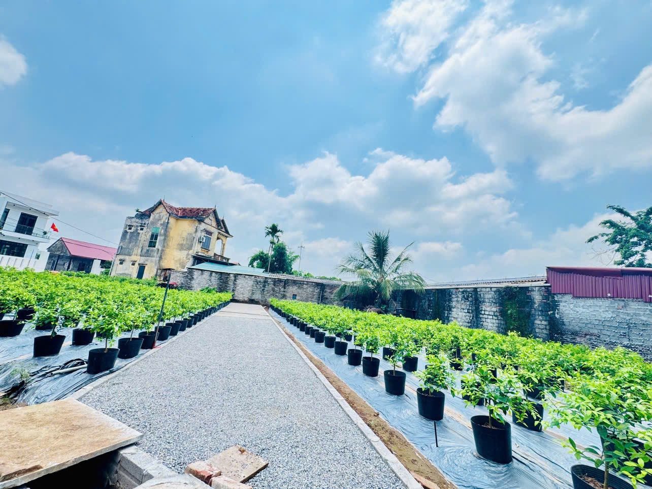 Bán Đất 46m² thổ cư 46m² giá 1.7 tỷ tại Xã Văn Giang Hưng Yên