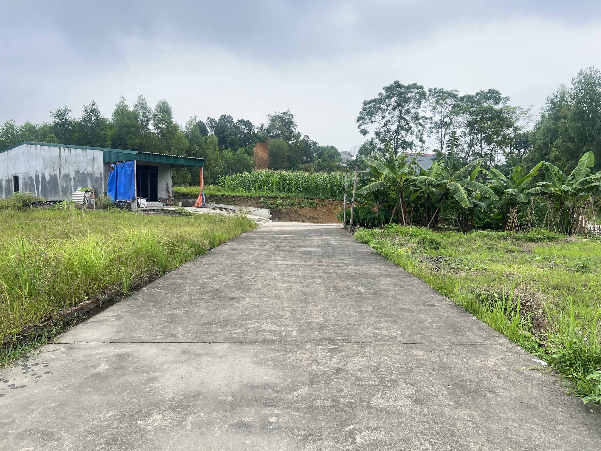 Bán đất 104m² ngang 6m giá 290 triệu Xã Văn Lang