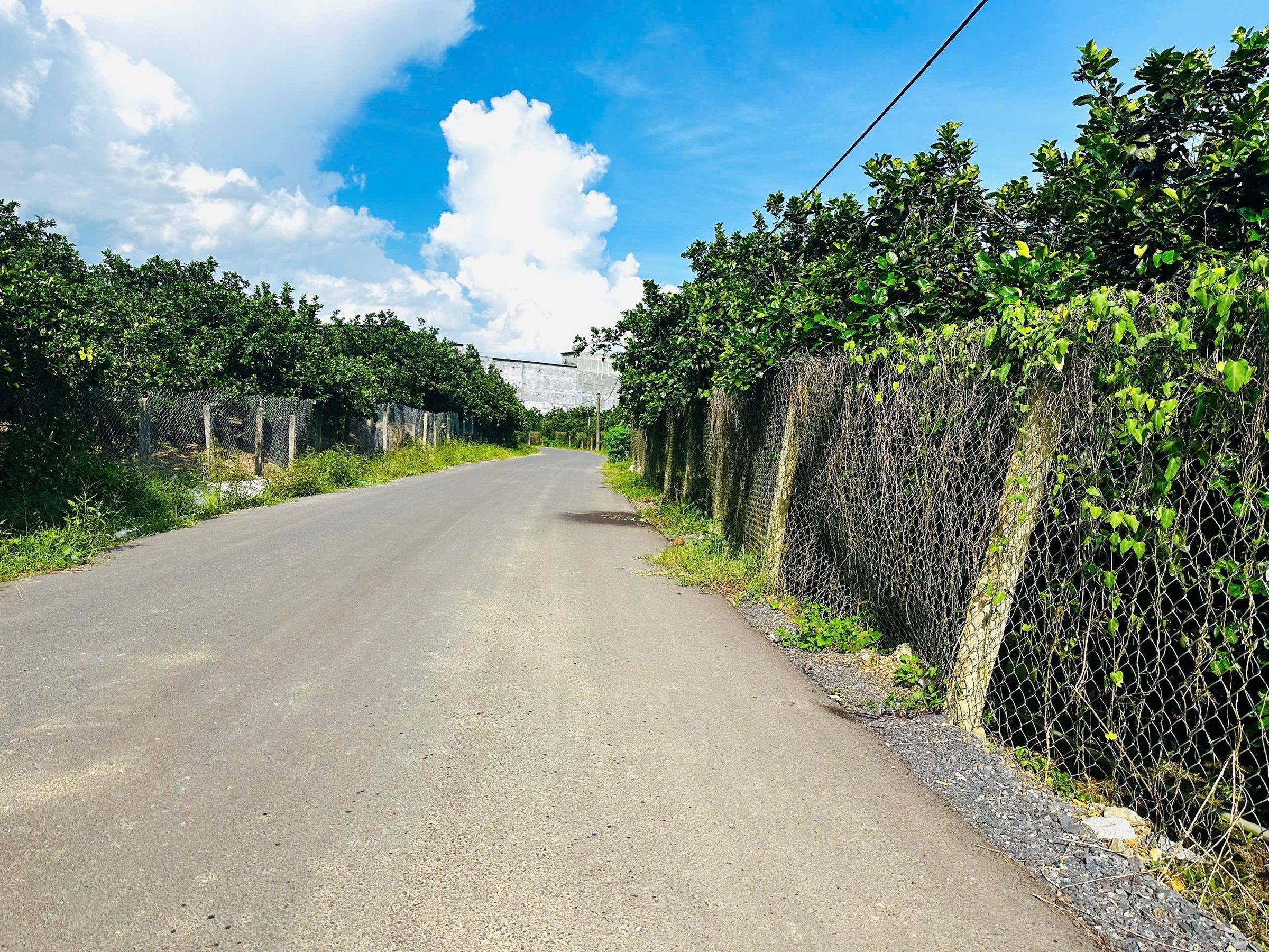 Bán Đất 155m² thổ cư 70m² giá 2.17 tỷ tại Xã Vạn Ninh Khánh Hòa