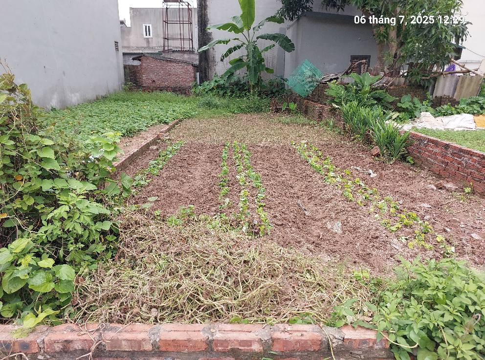 Chủ cần bán 84m2, mt4.5m, ô tô thông, Phúc Thịnh, Hà Nội 7 tỷ.