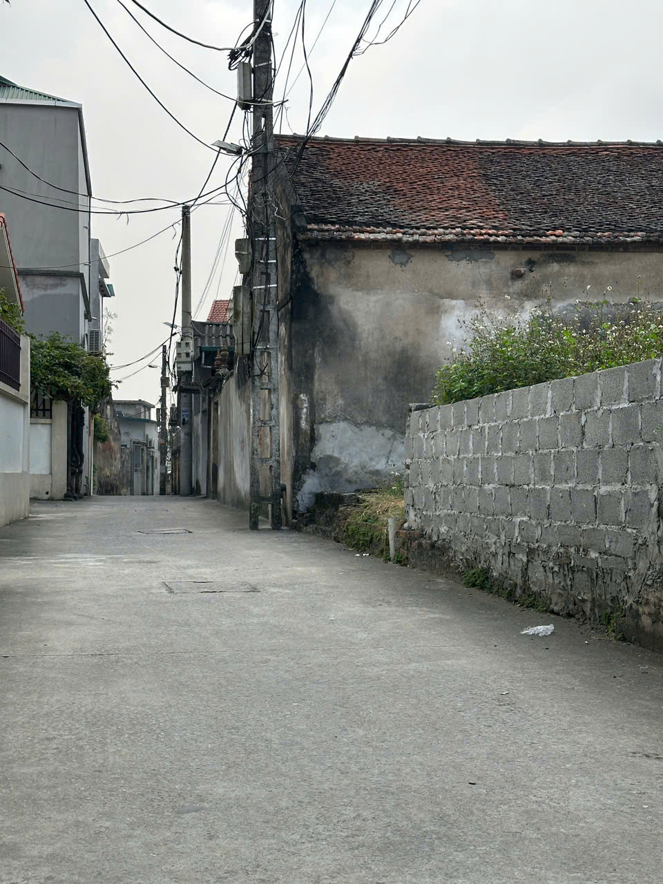 🔥 AN LÃNG – VĂN TỰ | 56,5M² ĐẤT VUÔNG – GẦN CHỢ – THANH KHOẢN CAO