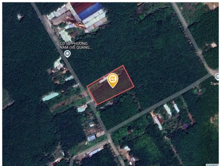 Bán đất 4187.8m² 650 triệu tại Xã Vĩnh Hoà Huyện Phú Giáo